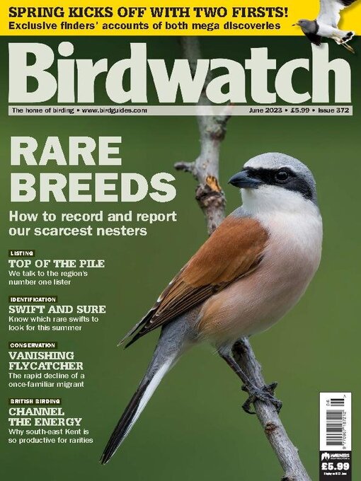 Title details for Birdwatch by Warners Group Publications Plc - Available